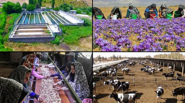 پیش‌بینی اعتبار ۸۰۰۰ میلیارد تومانی برای اشتغال روستایی