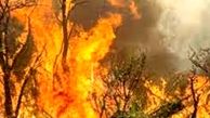 آتش سوزی هولناک در  نخلستان‌های پیرغیب قیروکارزین