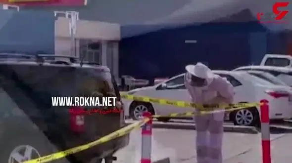 فیلم وحشتناک از حمله زنبورها به یک خودرو ! / در استرالیا رخ داد