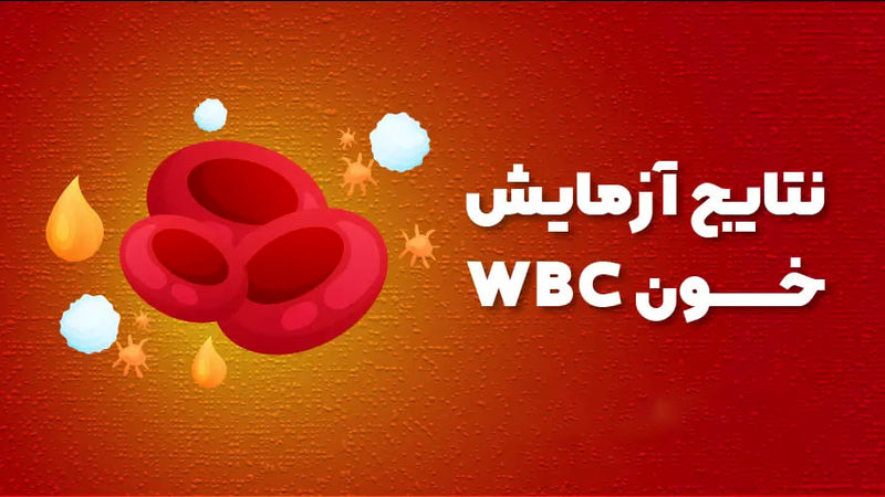 wbc در آزمایش خون