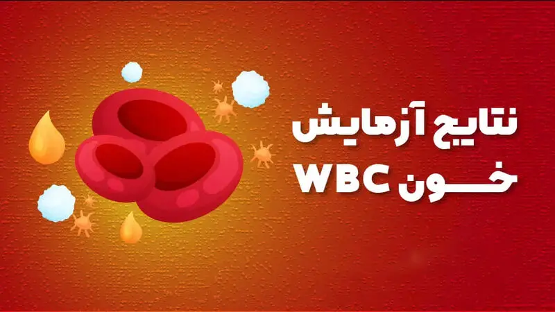 wbc در آزمایش خون