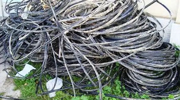 برق فشار قوی دزد را خاکستر کرد