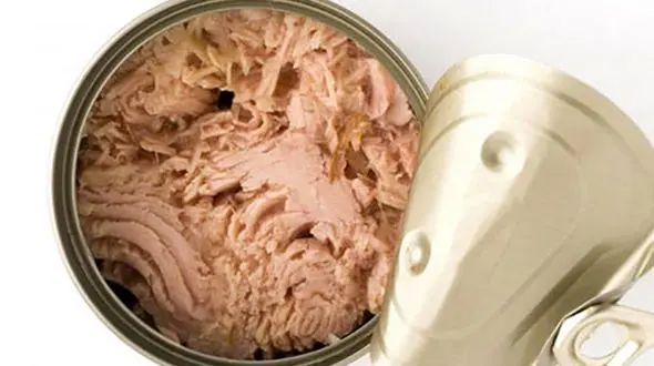 مرگ پسر جوان با خوردن تن ماهی در تهران