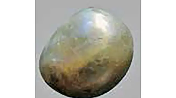 کشف قدیمی ترین مروارید جهان+عکس