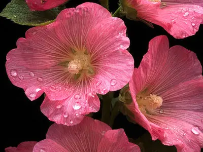 فال ابجد واقعی 14 بهمن