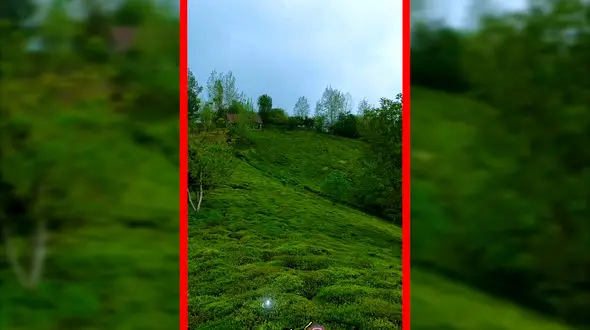 فیلم تصویر هوایی از سرسبزی لاهیجان