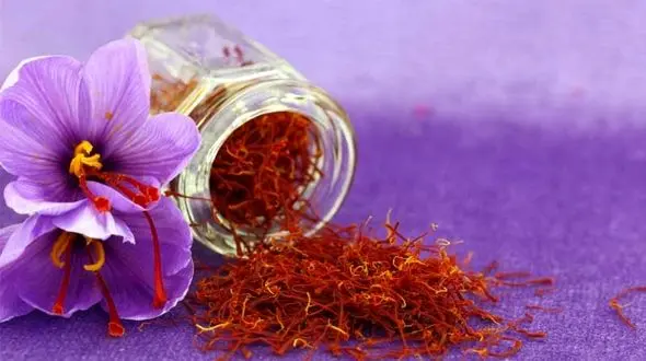 دم کردن زعفران با بهترین ترفندهای خانگی