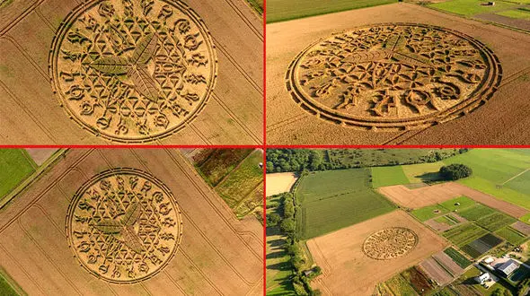 راز نقاشی 30 هکتاری در کشت زار شگفت انگیز/ خالق این اثر کیست+ فیلم وعکس