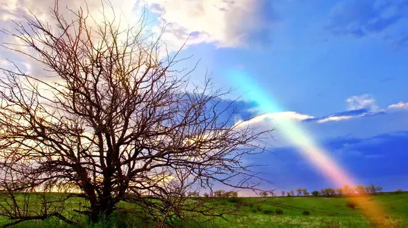 ریلکس کنید / نماهنگ بی کلام و آرامش بخش + فیلم 