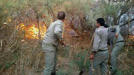 آتش سوزی در پارک ملی کرخه در شمال خوزستان