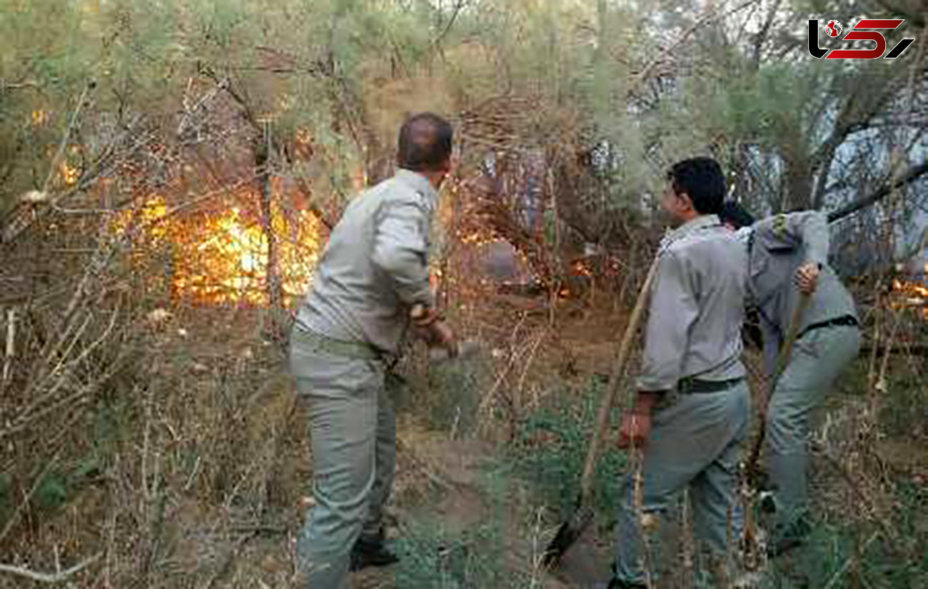 آتش سوزی در پارک ملی کرخه در شمال خوزستان