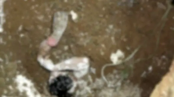 حفر چاه فاضلاب موجب مرگ دو کارگر سیرجانی شد