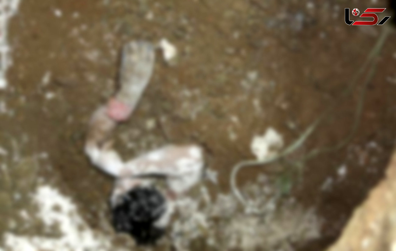 حفر چاه فاضلاب موجب مرگ دو کارگر سیرجانی شد
