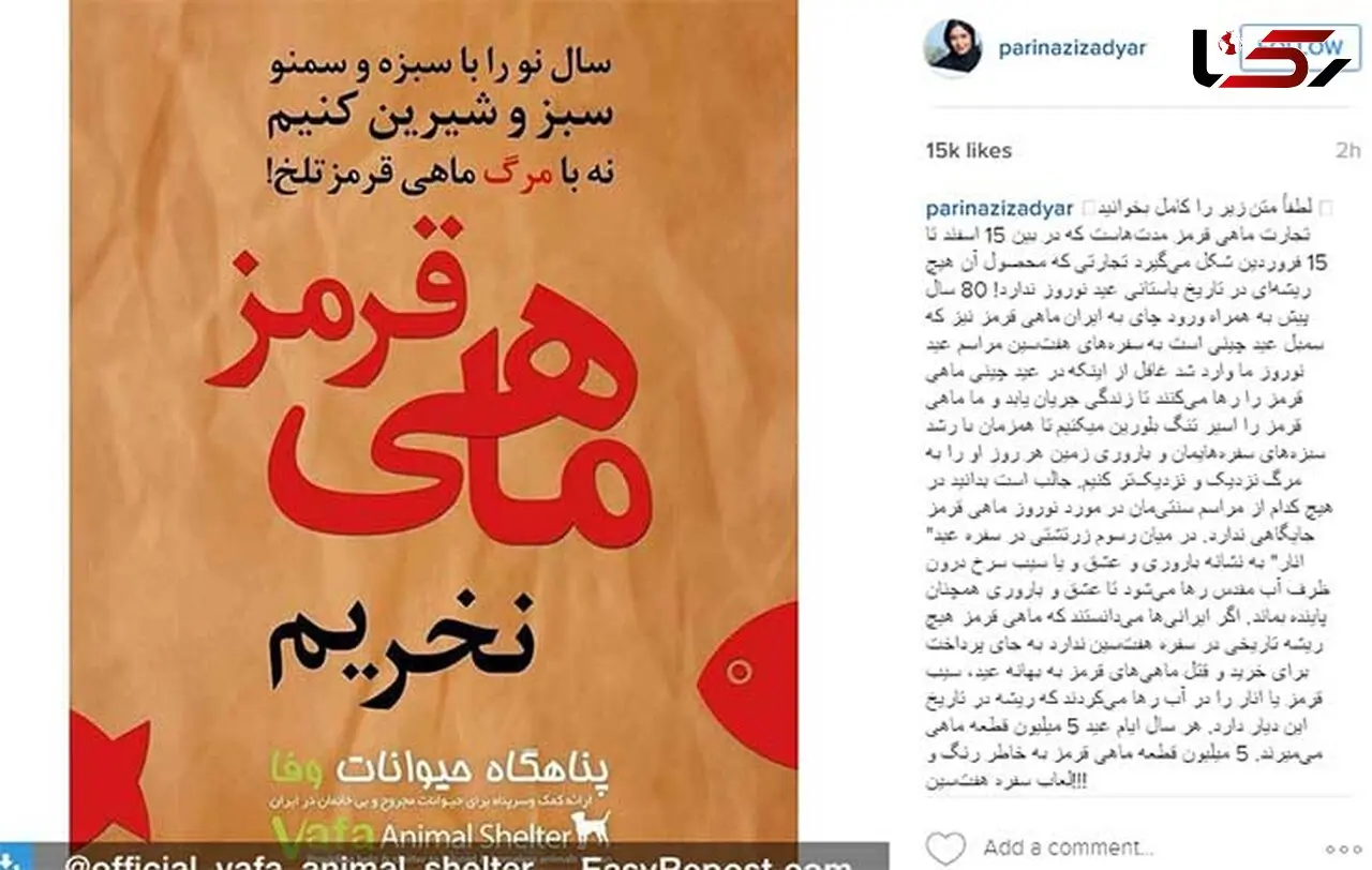 ماهی قرمز نخرید