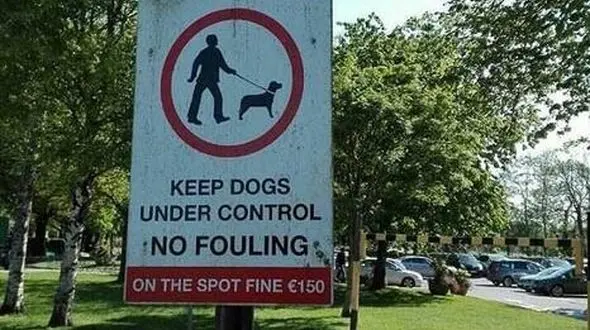 جریمه رها کردن سگ در خیابان+ عکس