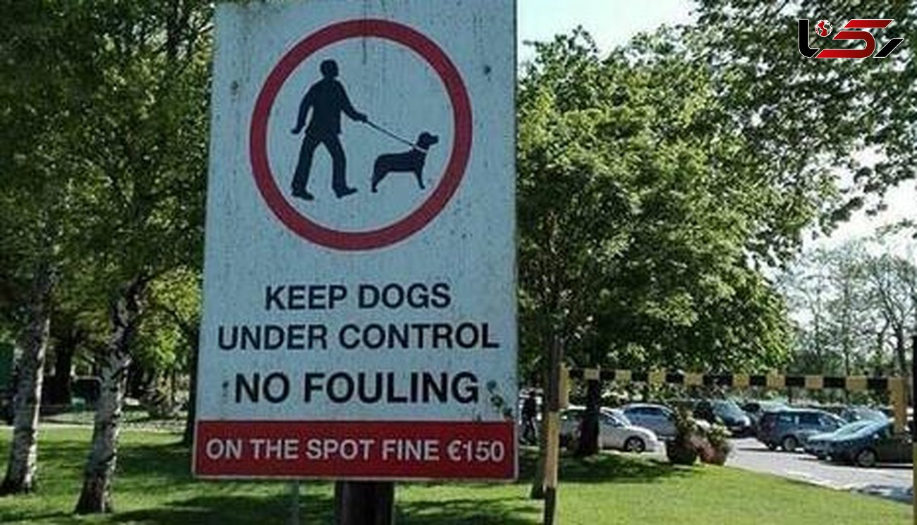 جریمه رها کردن سگ در خیابان+ عکس