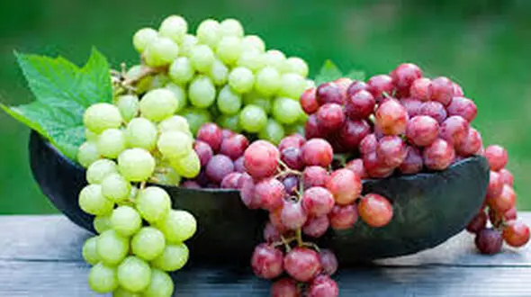 رژیم جوانی با یک میوه مفید