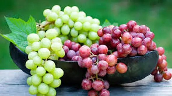 رژیم جوانی با یک میوه مفید