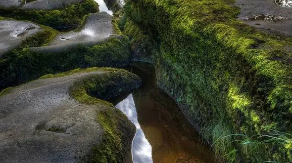 رودخانه مرگ در انگلیس مردم را می بلعد