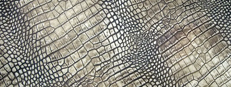 Untitled-1