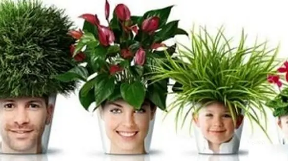 گلدان های مبتکرانه و جالب برای تزیین خانه