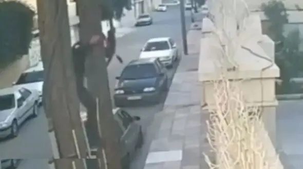 فیلم لحظه سرقت دزد خونسرد در روز روشن / اهواز