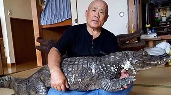 ۳۴ سال زندگی مشترک با سوسمار 50 ساله خطرناک+عکس 