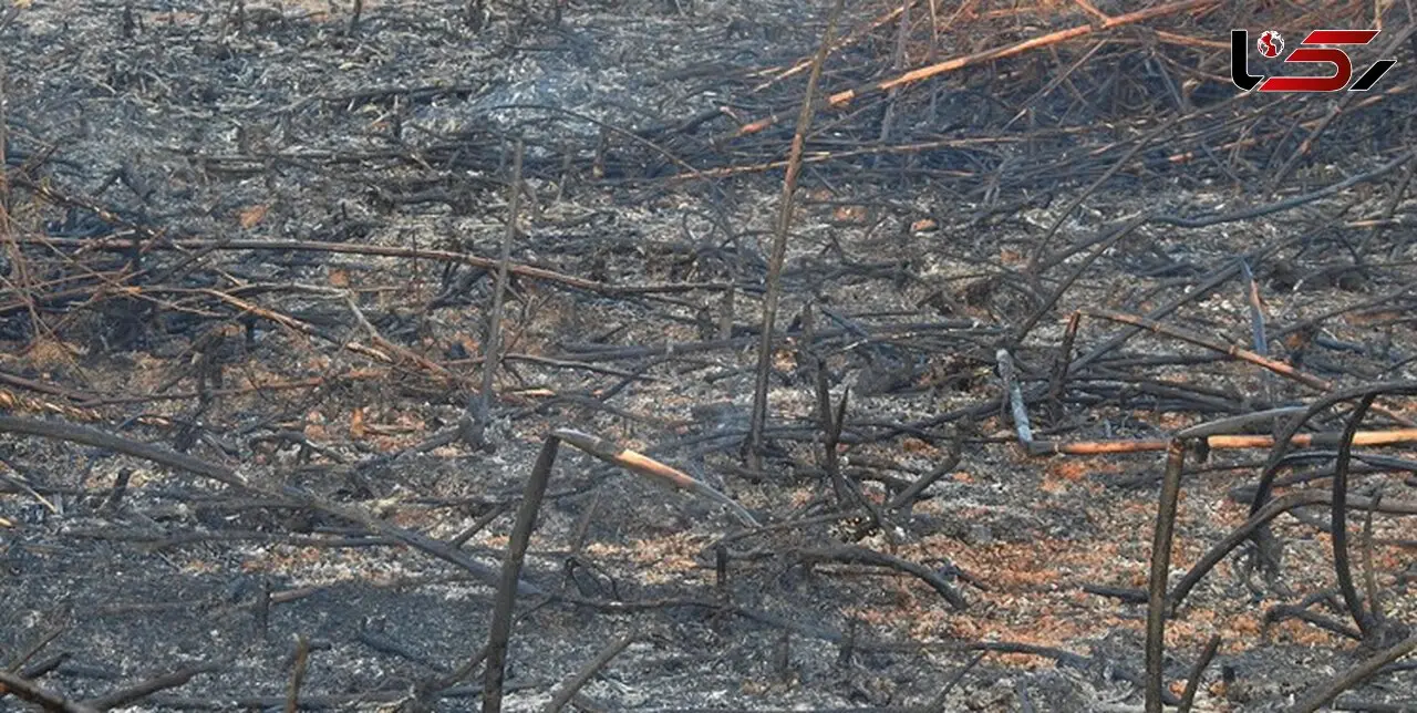 آتش سوزی در تالاب قره قشلاق بناب 