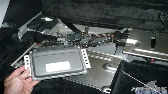 شکارچیان مغـز خـودرو در چنـگ پلیس