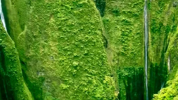 دنیا با بخشش قشنگ‌تر است 