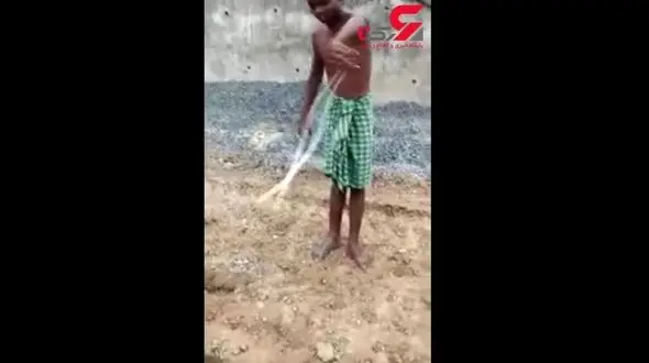 بازی خطرناک پسربچه با مار سمی+فیلم