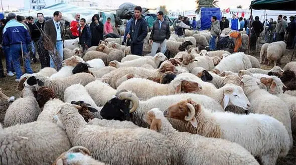 داستانی بسیار زیبا  درباره صدقه 