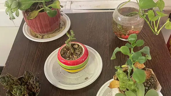 فال ابجد امروز 13 شهریور 