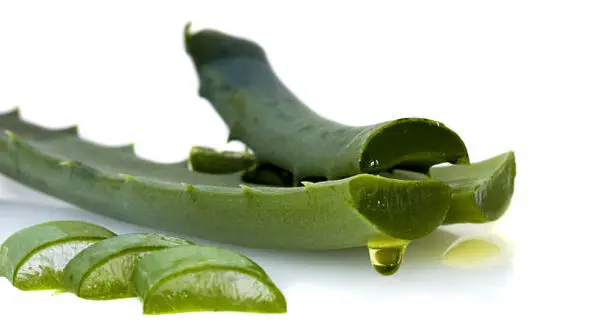 راهکارها ی سنتی برای حفظ سلامت پوست در روزهای داغ تابستانی 