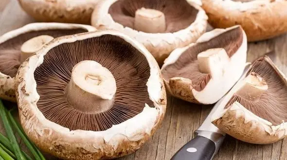 تولید ۲۵۰ تن قارچ خوراکی در سبزوار