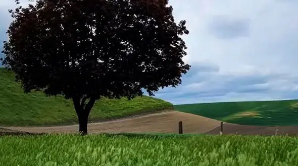 نقش اول زندگی خودت باش