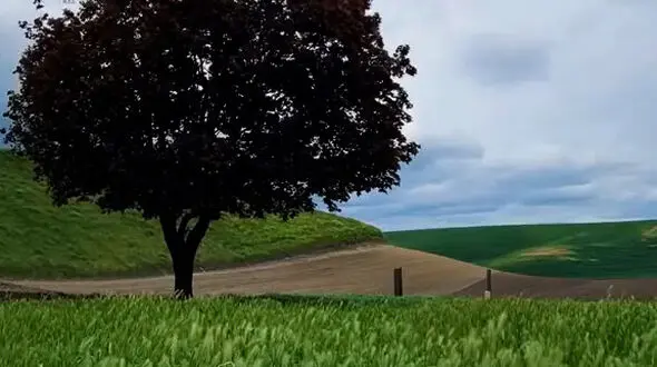 نقش اول زندگی خودت باش