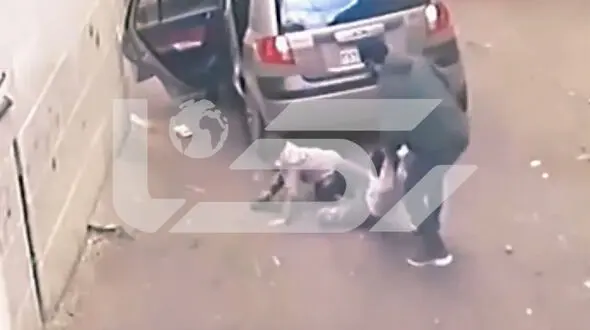 فیلم جدال قهرمانانه پسر بچه 7 ساله با گروگانگیران / او نگذاشت همبازی کوچکتر از خودش را بدزدند