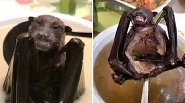 نام غذای ایرانی در بین چندش‌آورترین غذاهای دنیا  + عکس و اسامی غذاهای چنش آور