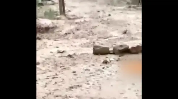 فیلم لحظه جاری شدن سیل ویرانگر در چهارمحال و بختیاری