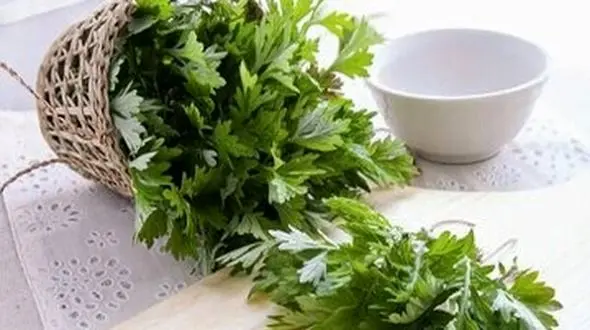 گیاه شگفت‌ انگیز موثر در پیشگیری از سرطان روده بزرگ