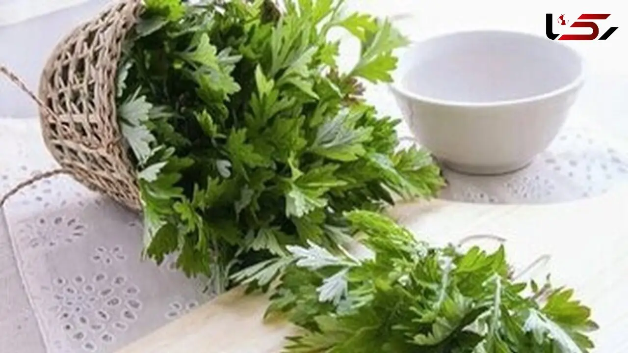 گیاه شگفت‌ انگیز موثر در پیشگیری از سرطان روده بزرگ