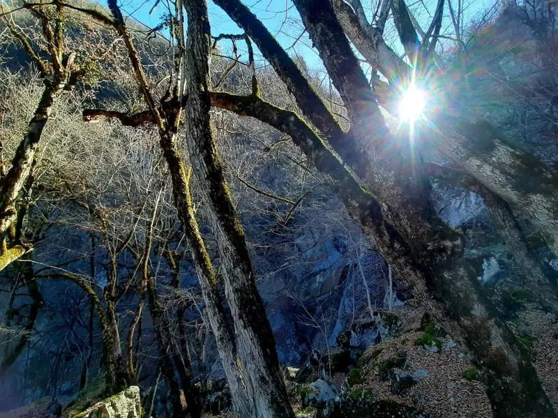 مناظر پاییزی