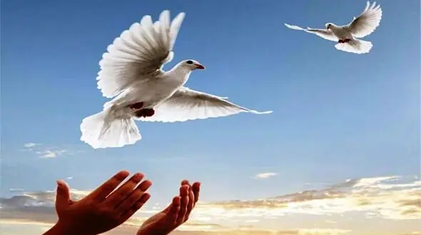 برف سفید رنگ خون گرفت / تصمیم سخت 11 سال بعد در زنجان