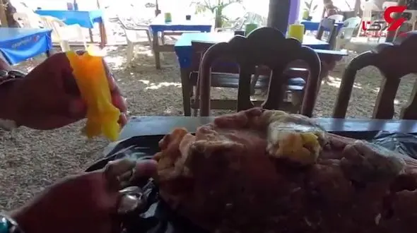 بقایای نهنگ ماهیگیر تایلندی را ثروتمند کرد+فیلم