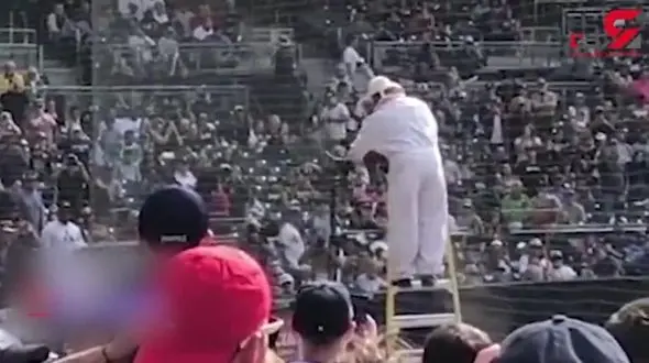 هجوم زنبورهای عسل به استادیوم بیسبال! +فیلم