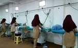 اتصال کسب و کارهای کوچک به شرکت های برند/ افزایش راندمان چهارهزار کشاورز تا 6 برابر 
