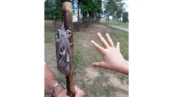 پرونده ای خارق العاده و سنگین + عکس