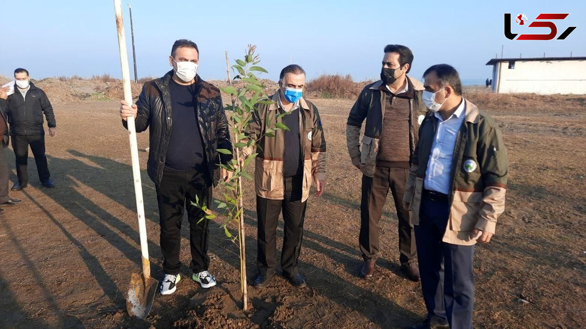 کاشت نهال به نام سردار سلیمانی در ساحل دریای خزر 