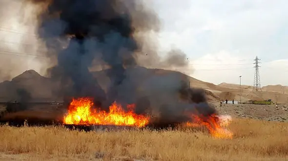 نیزارهای حاشیه رودخانه قم طعمه حریق شد
